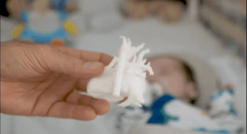 person holding a 3d printed cardiac