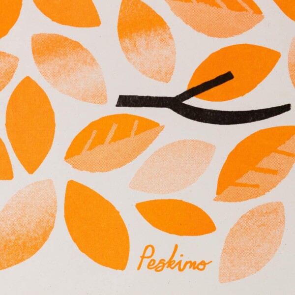 Peski Studio | Hidden Tiger - Image 4