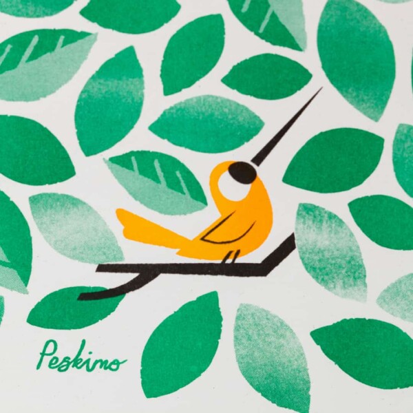 Peski Studio | Toucan Tweets - Image 3
