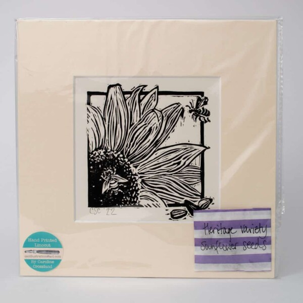 Caroline Crossland | Sunflower with Bees and Seeds