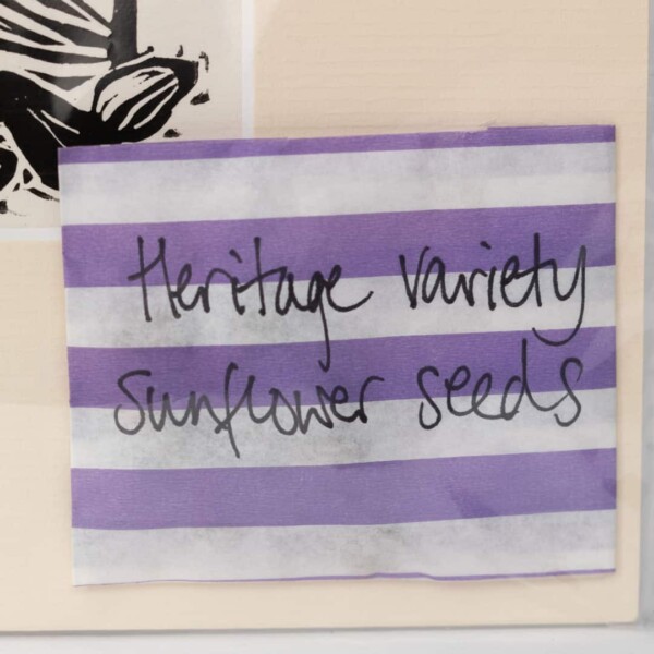 Caroline Crossland | Sunflower with Bees and Seeds - Image 4