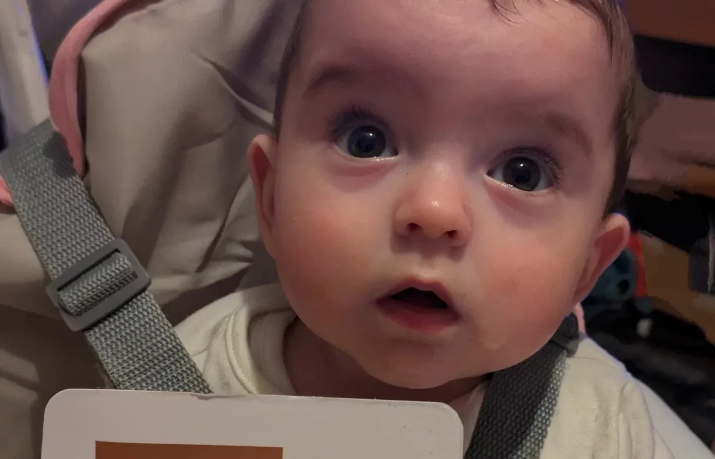 Baby Lenny-Rose with a 'seven months old' milestone card