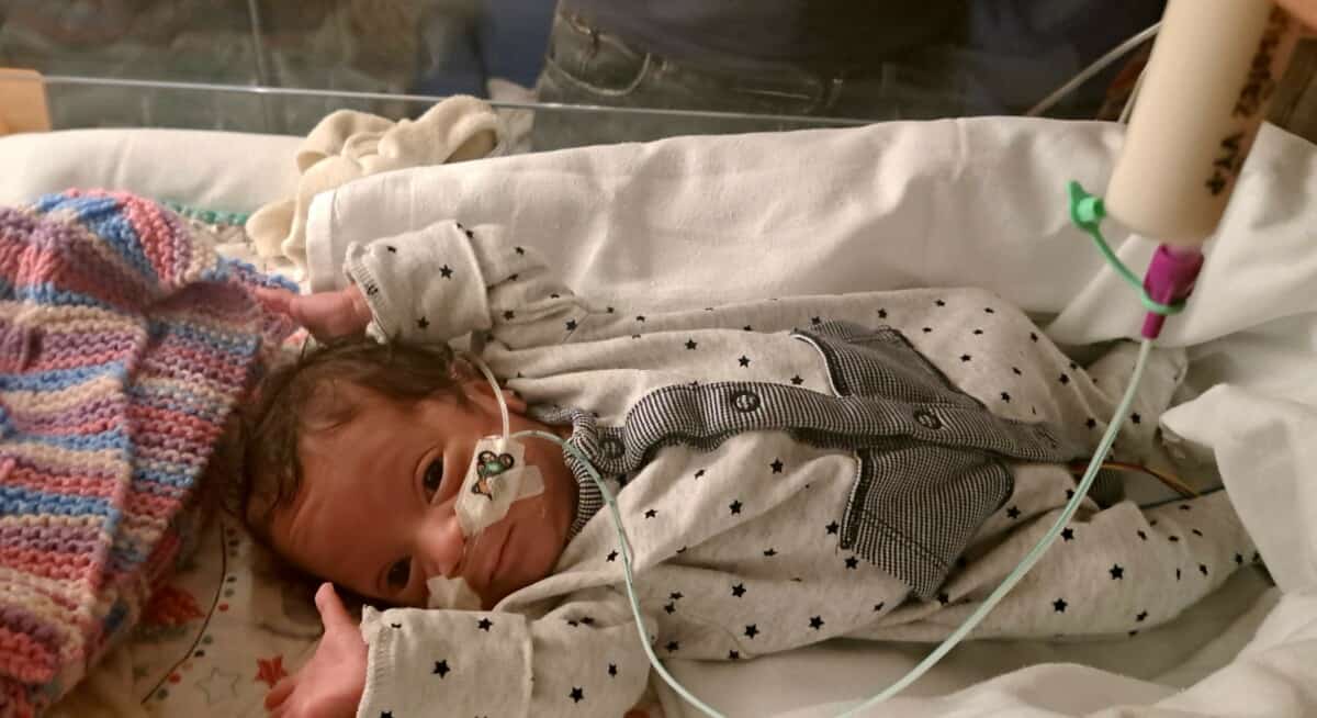 Joey in an incubator, looking at the camera, with his arms above his head