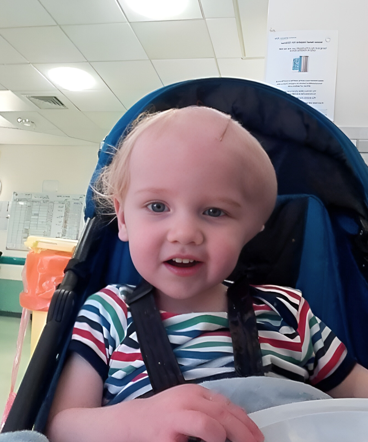 Harry The Grand Appeal