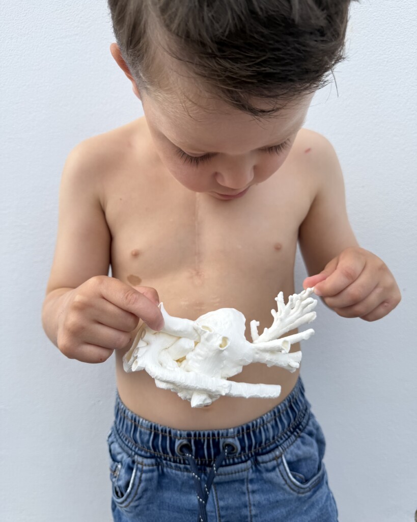 Miles is holding a model of his heart, made possible through The Grand Appeal's 3D Printing Service.