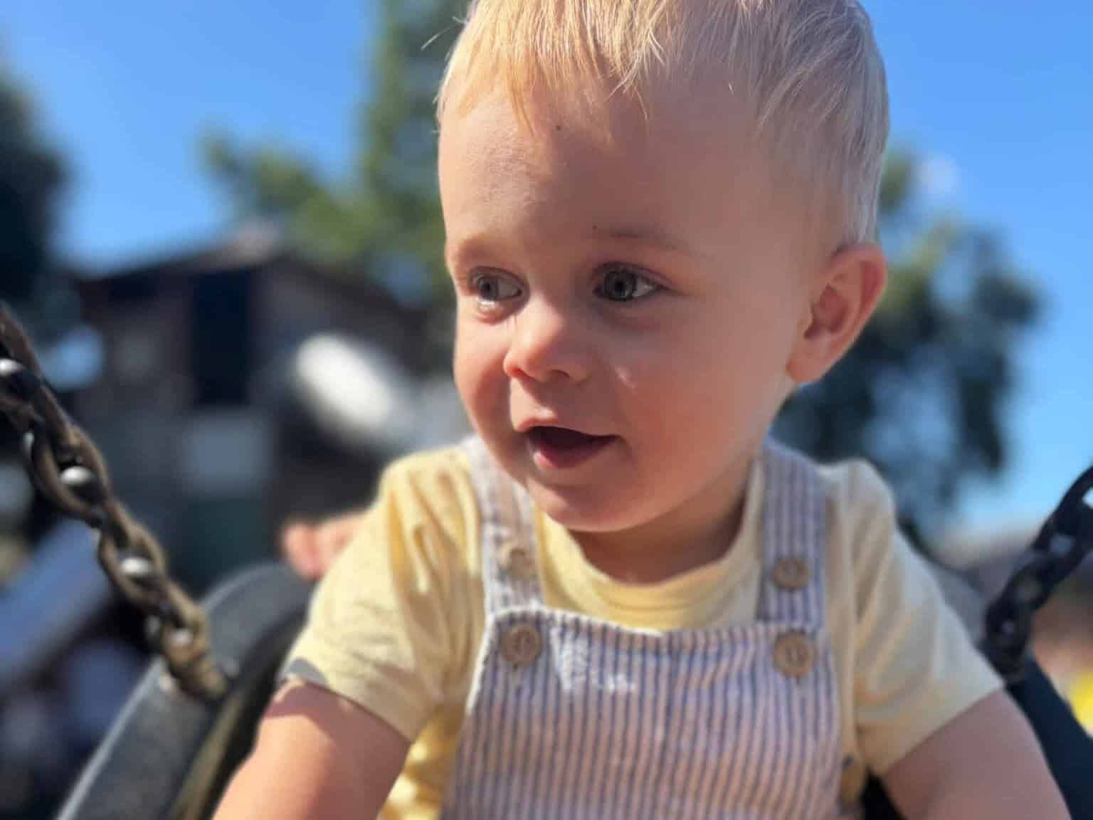 A photo of Rowan.